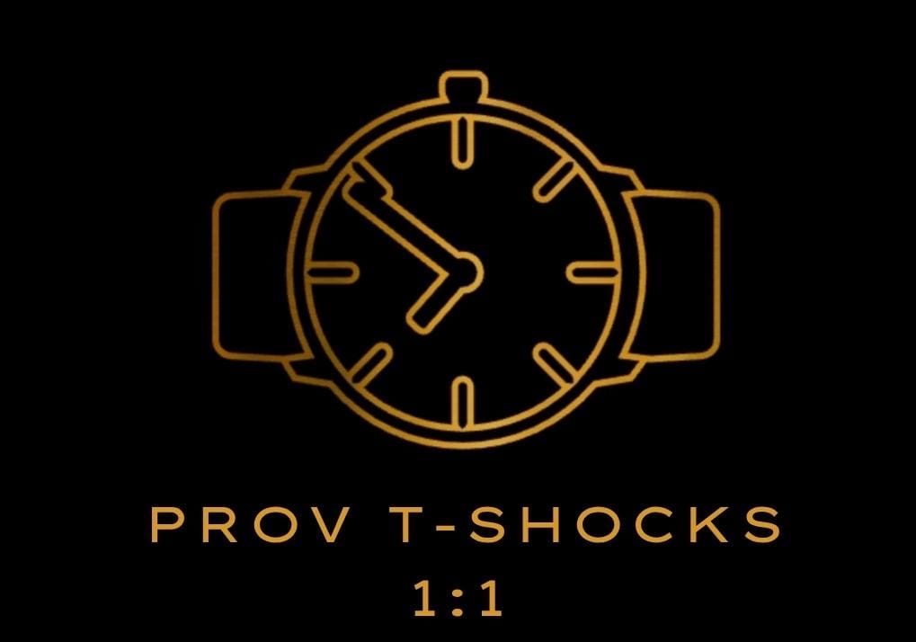 PROVEEDOR SHOCKS