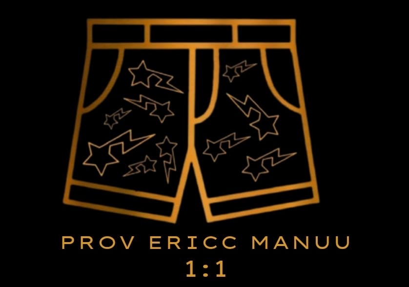PROVEEDOR ERICC MANUEL
